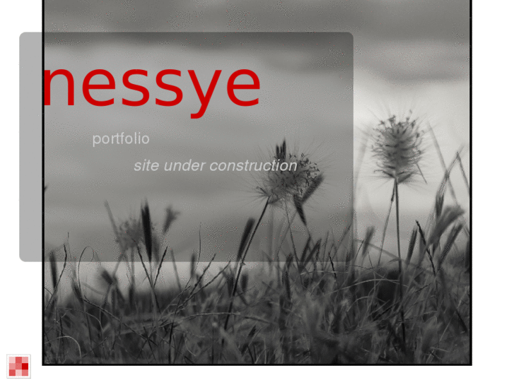 www.nessye.com