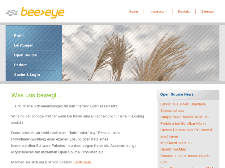 www.bee-eye.net