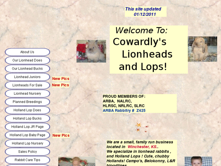 www.cowardlylionheads.com