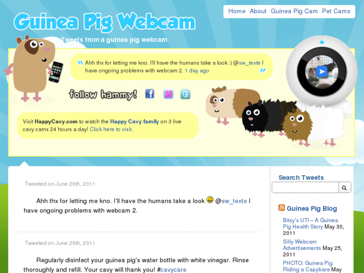 www.guineapigwebcam.com