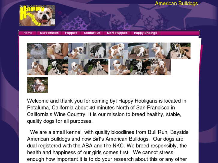 www.happyhooligansamericanbulldogs.com