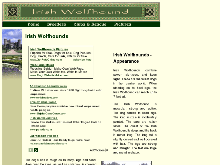 www.irish-wolfhound-dogs.com