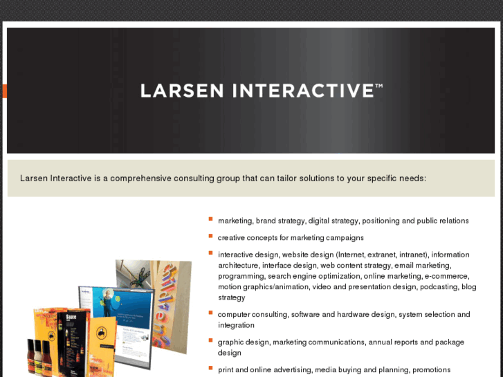 www.larsen-interactive.com