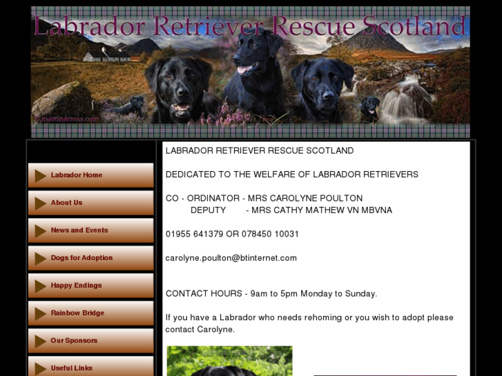 www.lrrcs.org