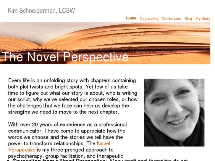 www.novel-perspective.com