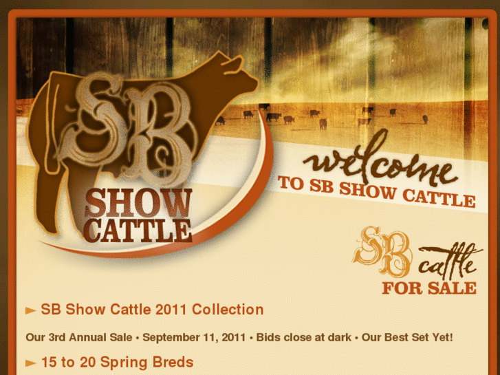 www.sbshowcattle.com