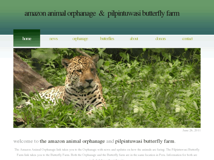 www.amazonanimalorphanage.com