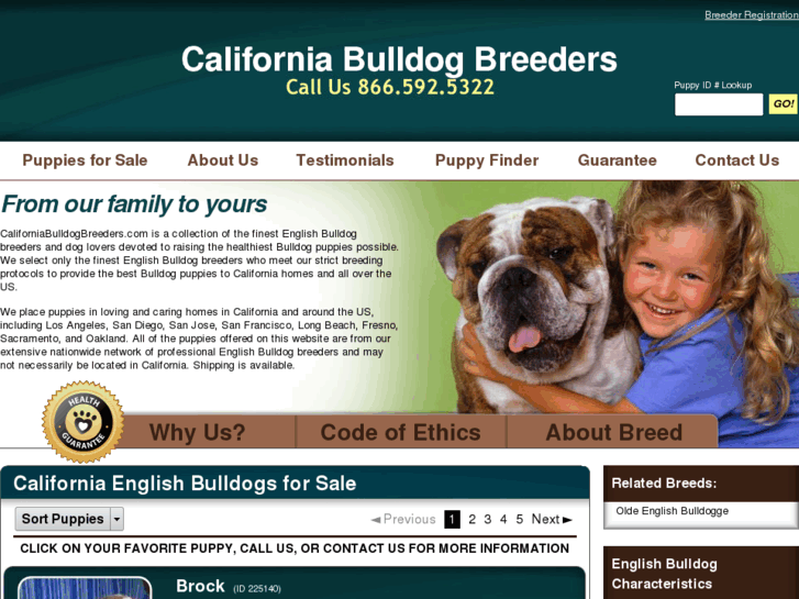 www.californiabulldogbreeders.com