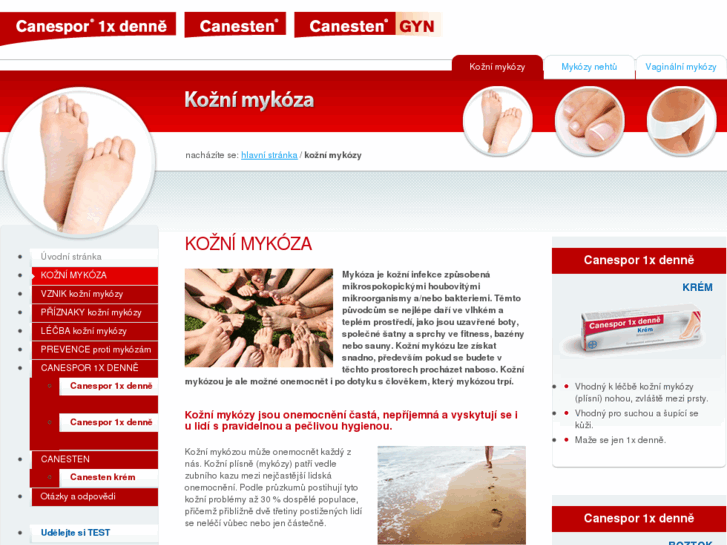 www.canespor.cz