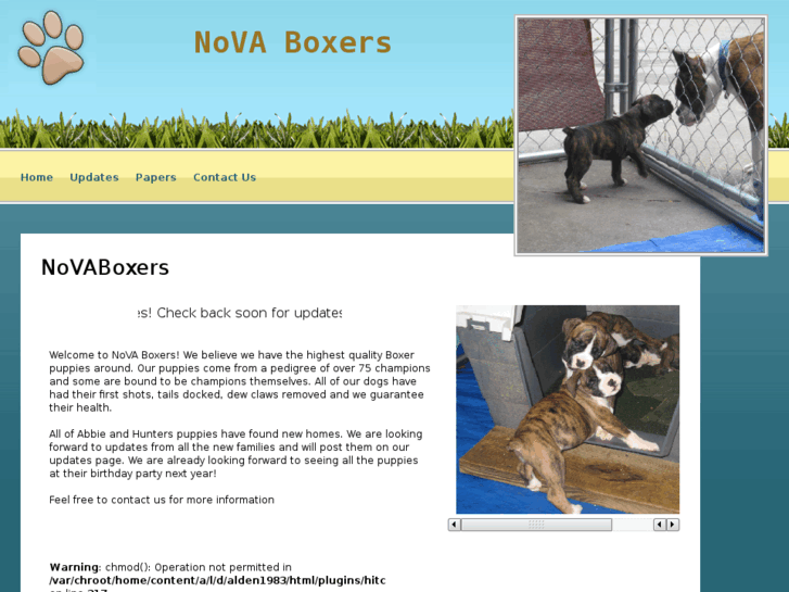 www.novaboxers.com