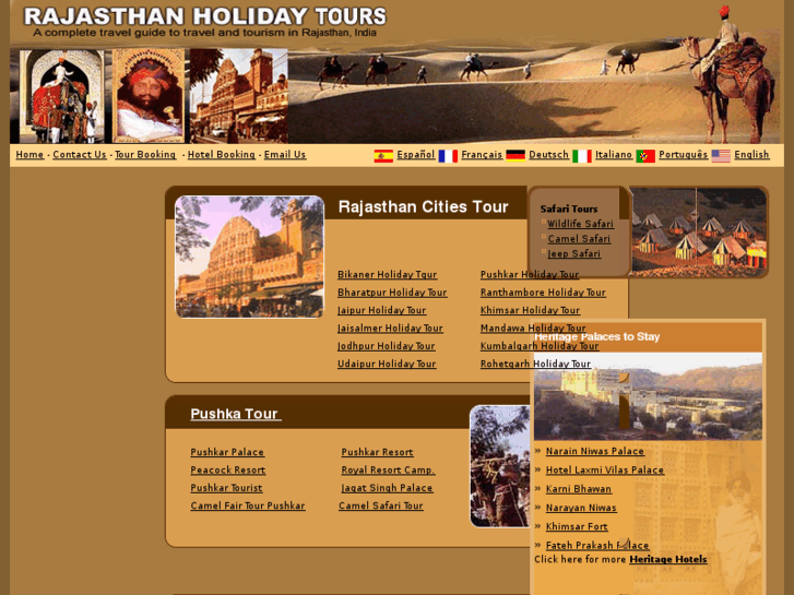 www.rajasthan-holidays-tours.com