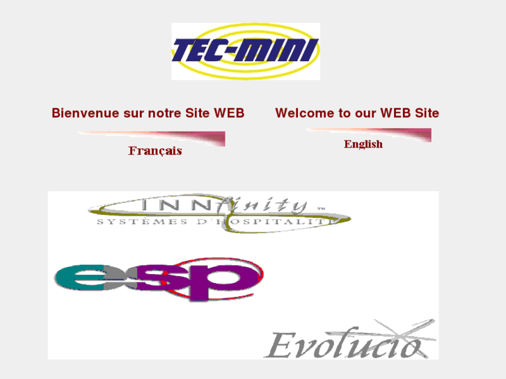 www.tecmini.com