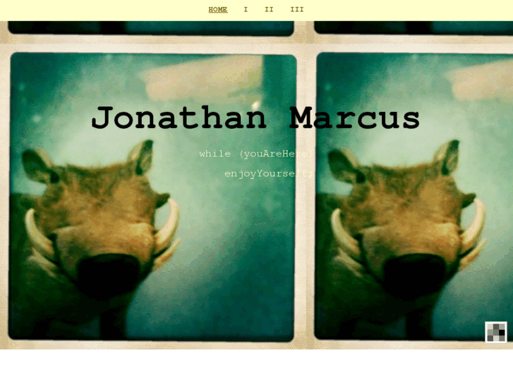 www.jonathanmarcus.info