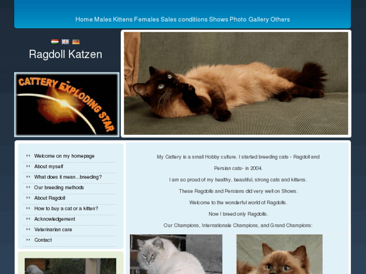 www.ragdollkatzen.com