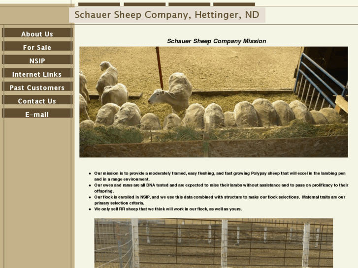 www.schauersheepcompany.com