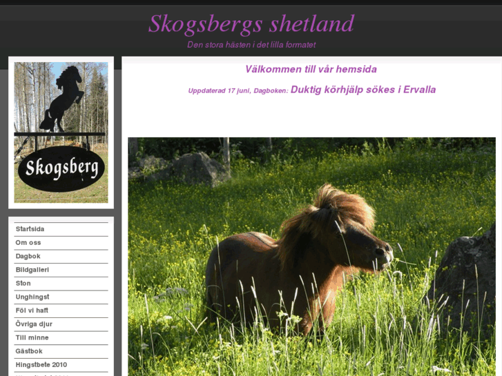 www.skogsbergsshetland.se