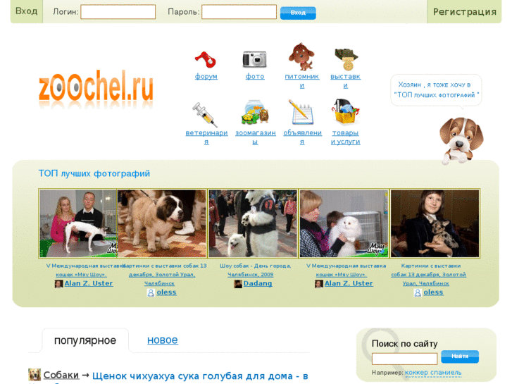 www.zoochel.ru