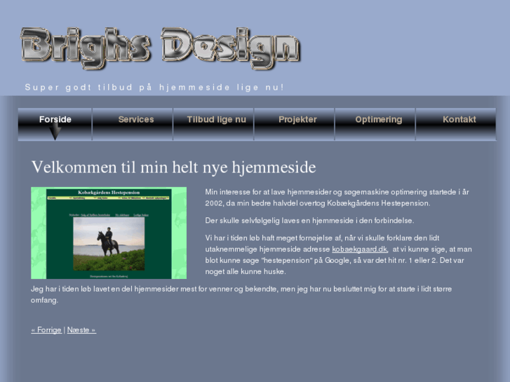 www.brighs.dk