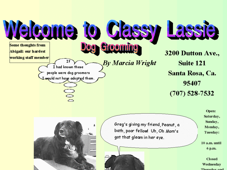 www.classylassie.net