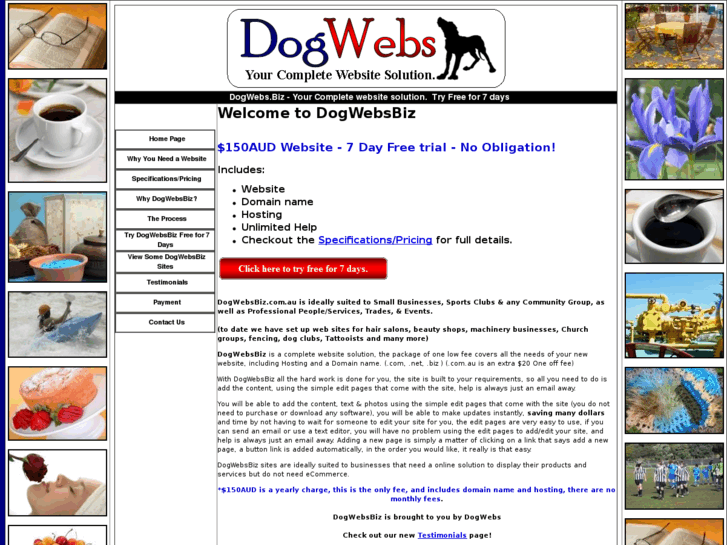 www.dogwebsbiz.com.au