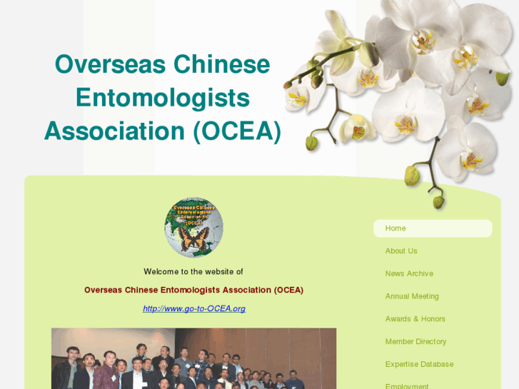 www.go-to-ocea.org