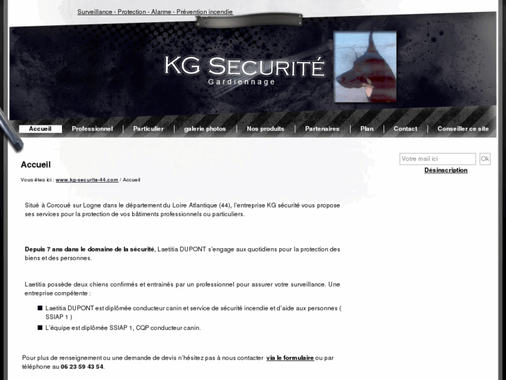 www.kg-securite-44.com