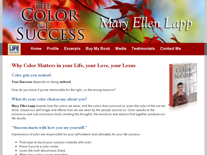 www.thecolorofsuccessbook.com