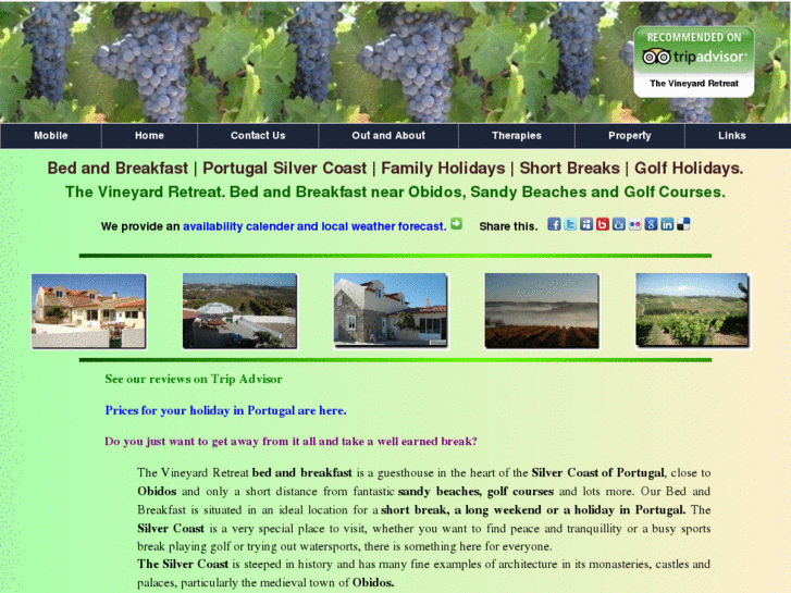 www.vineyardretreat-silvercoastportugal.com