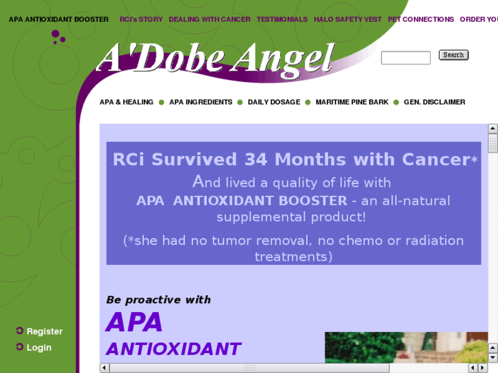 www.adobeangel.com