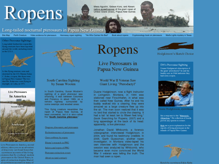 www.ropens.com