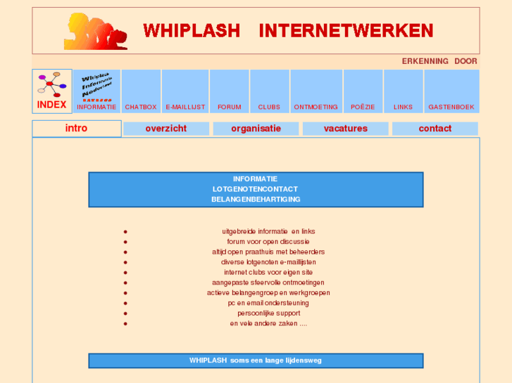 www.whiplashinternetwerken.nl