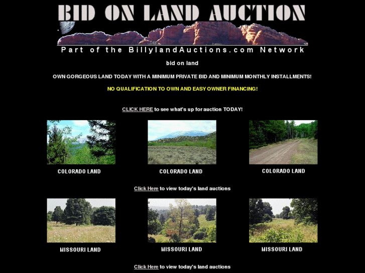 www.bidonlandauction.com