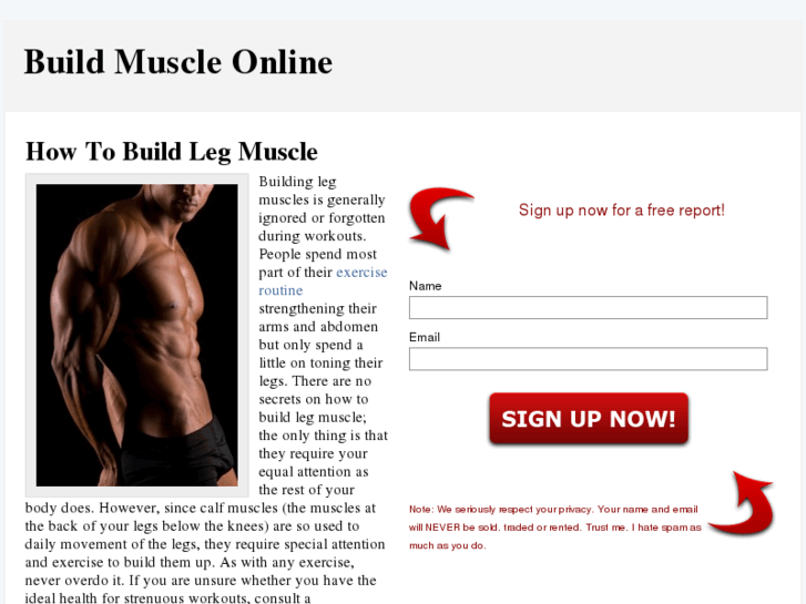 www.buildmuscleonline.org