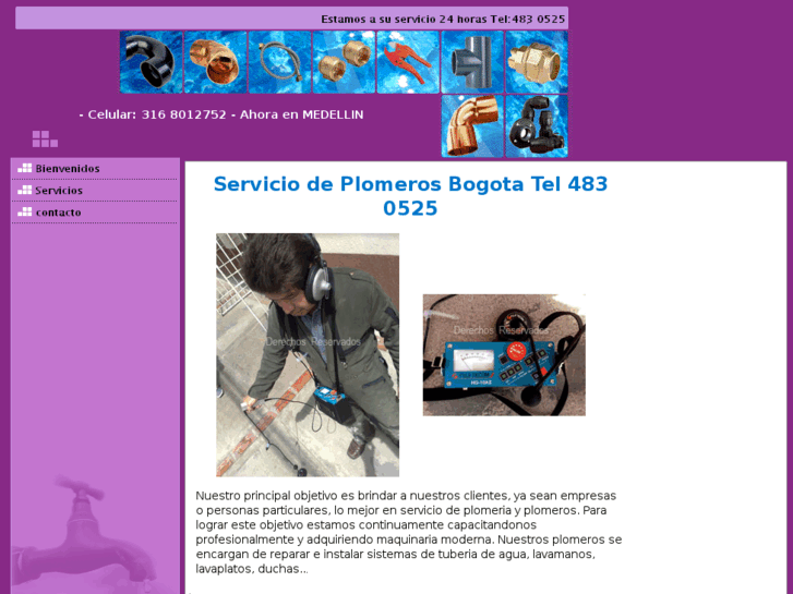 www.serviciodeplomerosbogota.com