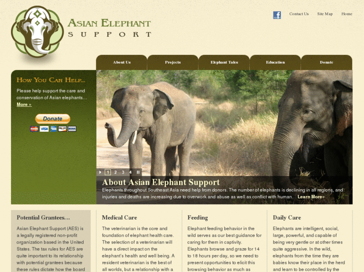 www.asianelephantsupport.org