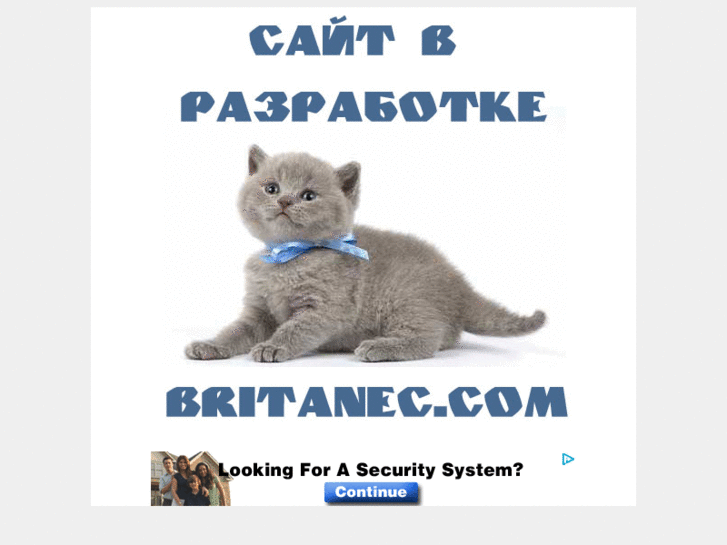 www.britanec.com