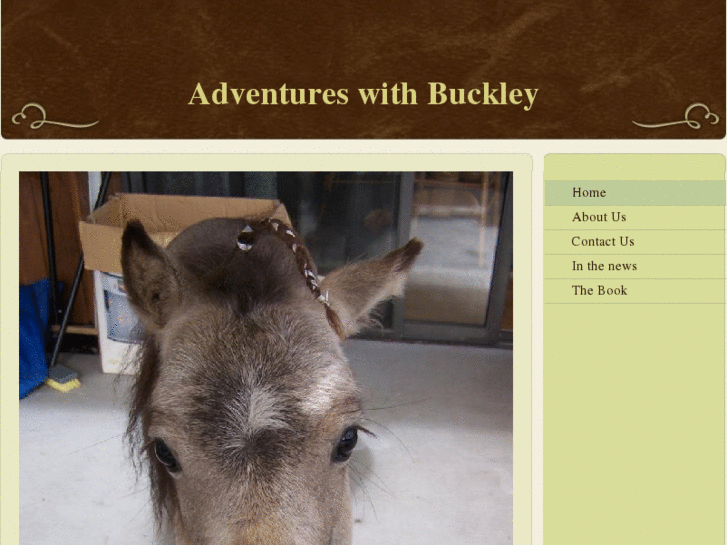 www.buckleythemini.net