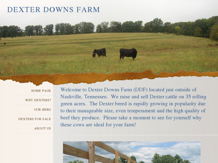 www.dexterdownsfarm.com