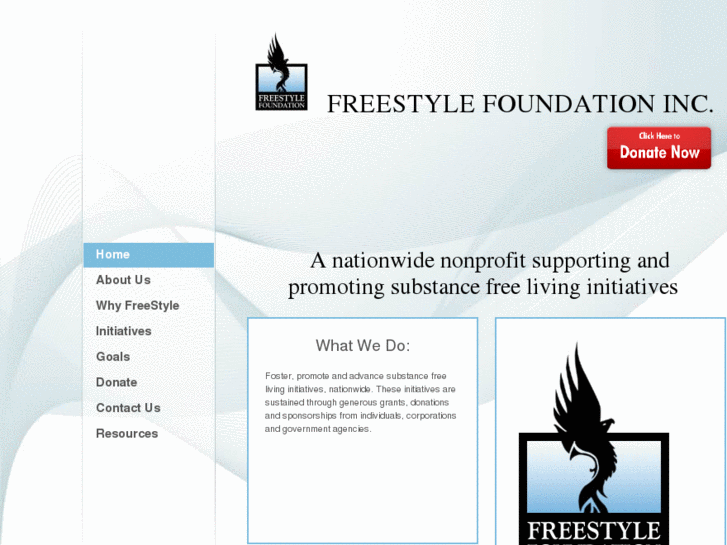 www.freestylefoundation.org