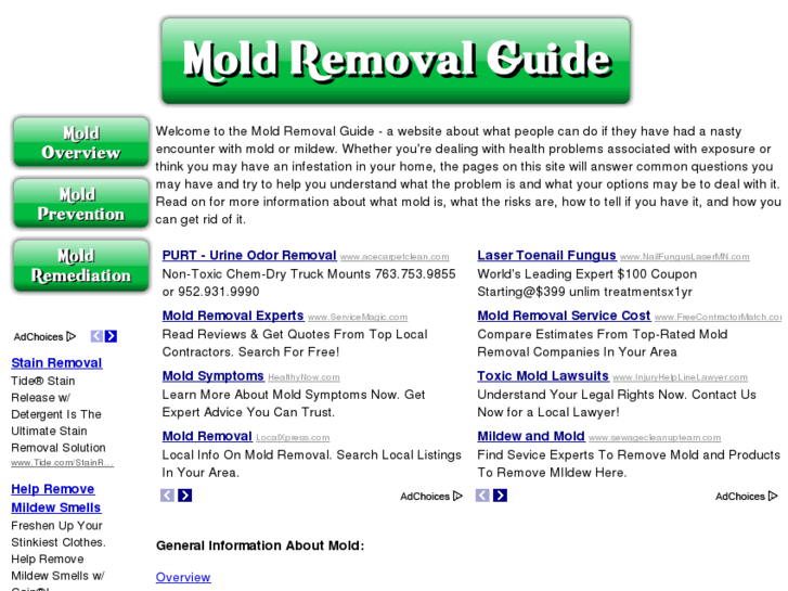 www.moldremovalguru.com