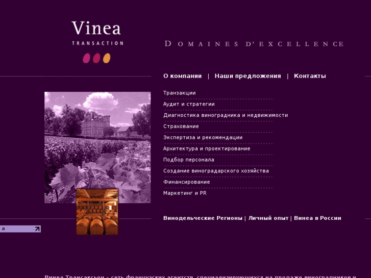 www.vinea.ru