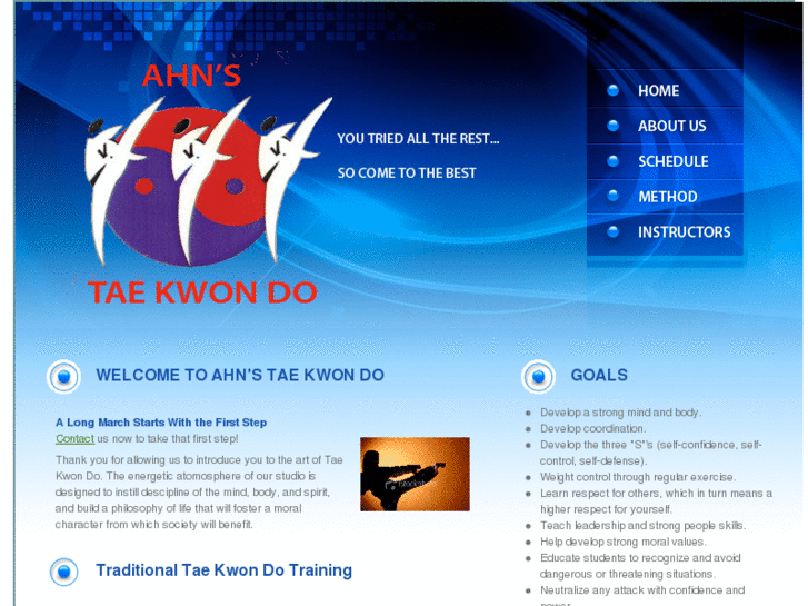 www.ahnstaekwondo.com