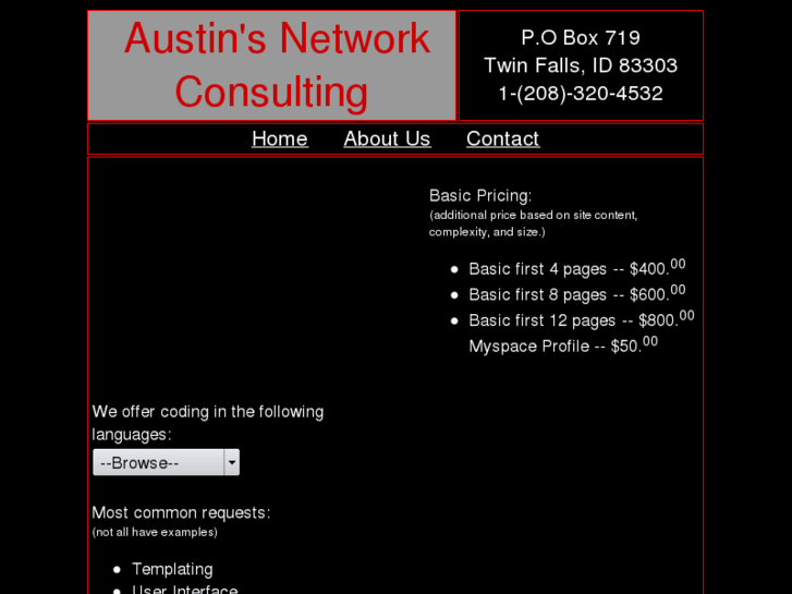 www.austinsnetworkconsulting.com