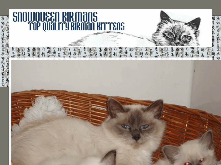 www.birman-cat.co.uk