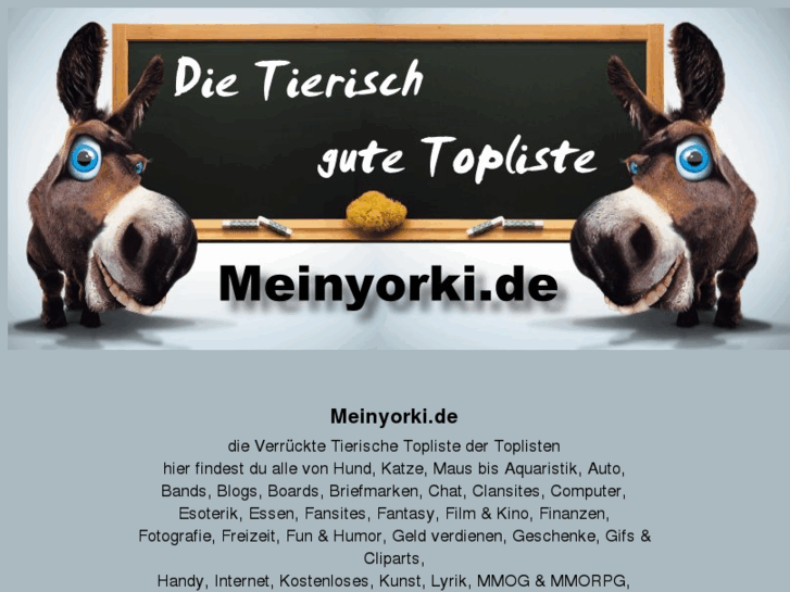 www.meinyorki.de