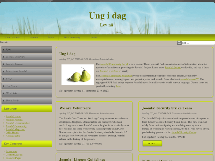 www.ungidag.com