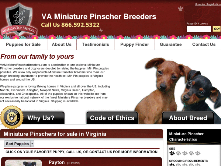 www.vaminiaturepinscherbreeders.com