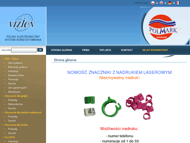 www.vizion.pl