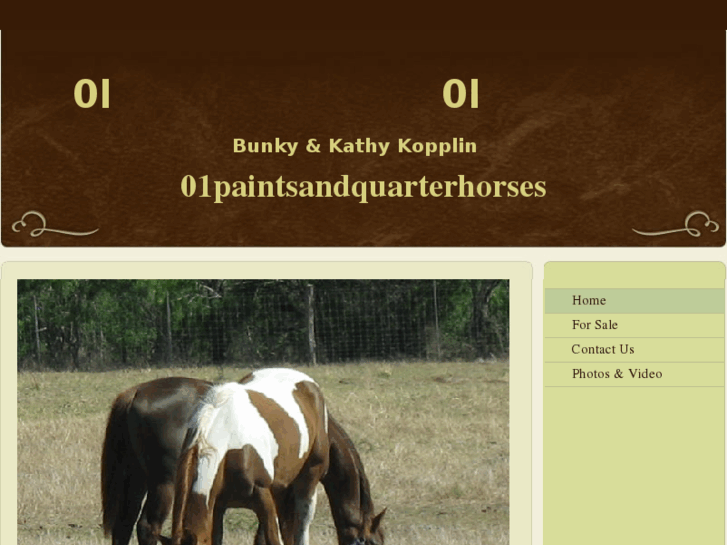 www.01paintsandquarterhorses.com