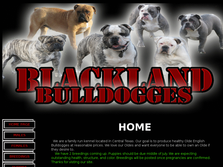 www.blacklandbulldogges.com